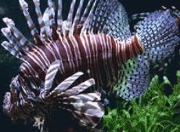 Palacio de la Porte Dorée